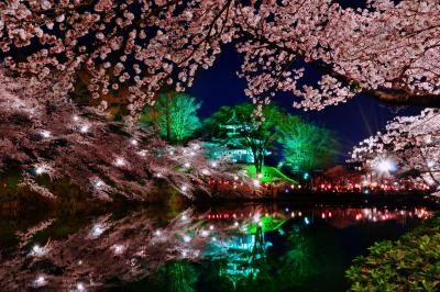 高田公園 日本三大夜桜| ライトアップに照らされ、妖艶な雰囲気に包まれた高田城址の夜桜。日本三大夜桜に数えられています。