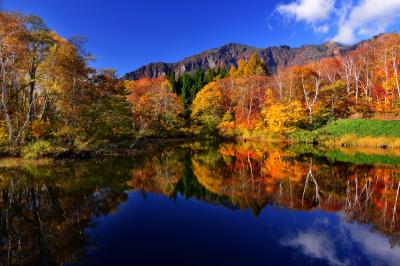 秋山郷| のよさの里近くの天池。遠景の鳥甲山と湖畔沿いのダケカンバの水面への映り込みが印象的でした。年によっては初冠雪した鳥甲山と天池の紅葉を同時に見ることもできます。午前中の時間が撮影にはお勧めです。