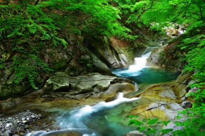 初夏の遊歩道沿いの風景。明るい渓谷と新緑からの木漏れ日が清々しい。国道１４０号の雁坂トンネル近くの駐車場から七ツ釜五段の滝を目指します。