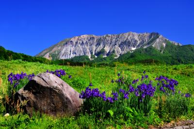 蒜山大山スカイライン下の集落から見た大山。この周辺は水田やからぶき屋根の小屋があり人気のビューポイントとなっています。