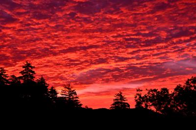 三国峠の夜明け| 晩夏のうろこ雲を深紅に染め上げる朝の訪れ。北海道最高標高の三国峠は赤一色の世界に包みこまれました。
