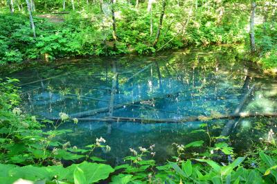 神の子池| 裏摩周にある神の子池。透き通ったブルーが特徴の神秘的な池。摩周湖の伏流水からできています。ハトイ札弦林道に入って約２ｋｍのところにあります。