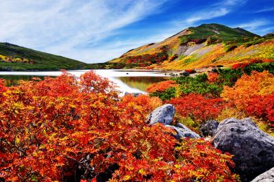 白馬大池 紅葉| 秋晴れの白馬大池。短い夏が終わると植物は秋の表情に。ナナカマドの紅葉が綺麗でした。紅葉の見頃が短く、タイミングが掴みづらいので事前の下調べが重要です。