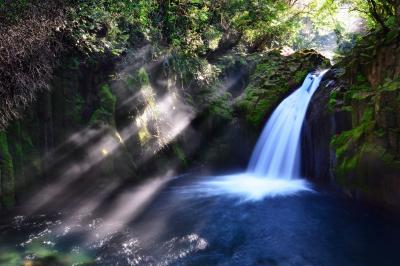 菊池渓谷光芒の滝| 苔の回廊を上流へと進むと無名滝に光芒が降り注いでいました。非常に神秘的な空間でした。