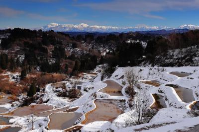 棚田と冠雪の山々| 冬晴れの日、遠くの山々は白くそびえ、日本の原風景が広がっていました。