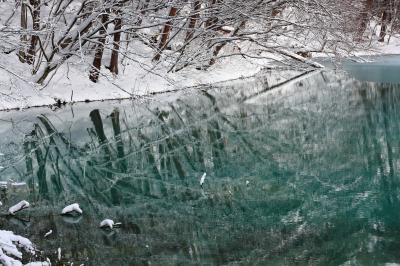 雪が積もった湖畔の木々。白い世界がエメラルドグリーンの水面に映り込んでいます。