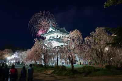 桜の開花期間中、花火のイベントがあり、弘前城と桜、花火の共演を楽しむことができました。