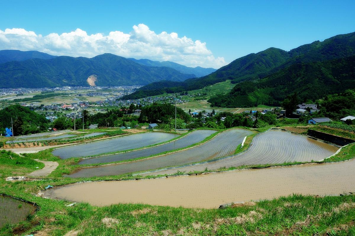姨捨の棚田 ピクスポット 絶景 風景写真 撮影スポット 撮影ガイド カメラの使い方 姨捨の棚田 ピクスポット 絶景 風景写真 撮影スポット 撮影ガイド カメラの使い方