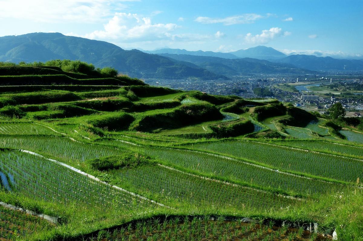 姨捨の棚田 ピクスポット 絶景 風景写真 撮影スポット 撮影ガイド カメラの使い方 姨捨の棚田 ピクスポット 絶景 風景写真 撮影スポット 撮影ガイド カメラの使い方