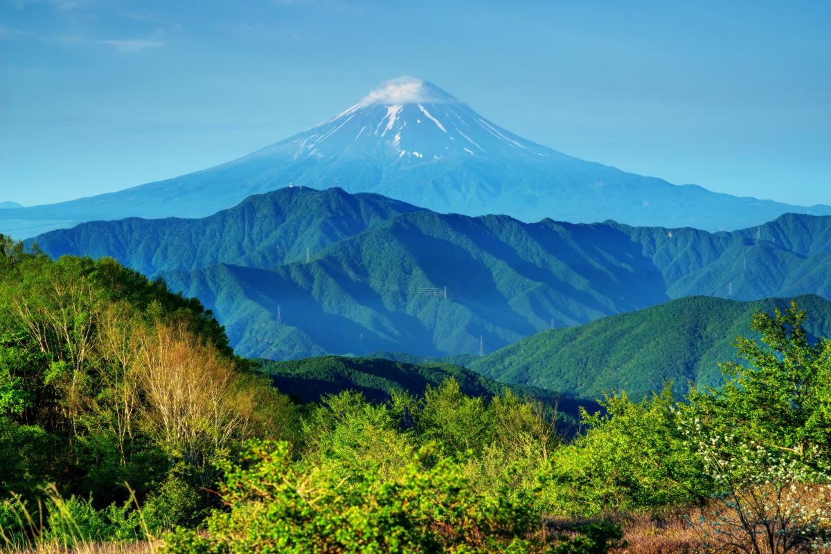 大蔵高丸からの富士山 左右の稜線のバランスが美しい、新緑に映える富士山。