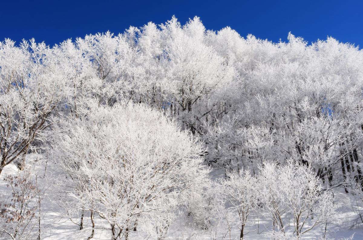 冬景色 写真集 ピクスポット 絶景 風景写真 撮影スポット 撮影ガイド カメラの使い方