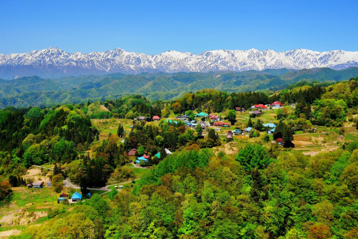 信州 小川村 新緑 樹々が芽吹き 色鮮やかな新緑に包まれた小川村。高気圧に覆われよく晴れた日 残雪の北アルプスが一望できました。