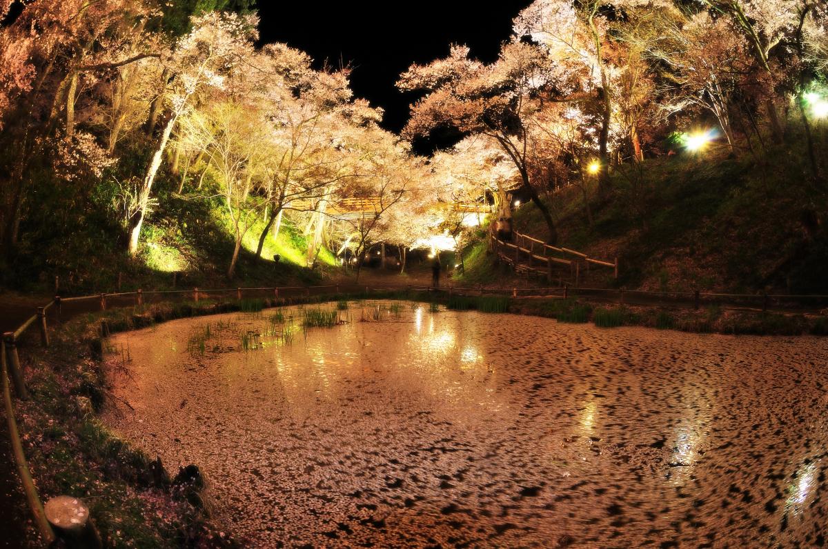 ãé«é  æ¡ãã®ç»åæ¤ç´¢çµæ