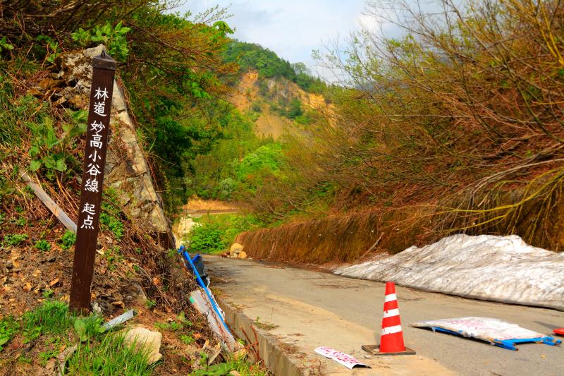 [ 林道「妙高小谷線」 ]  