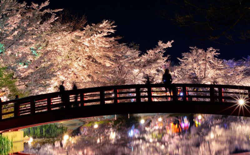 [ 桜雲橋 ]  桜の雲に包まれた弁天橋。