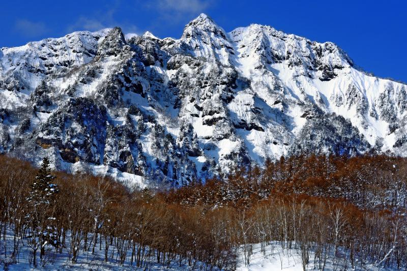 [ 厳冬の戸隠連峰 ]  大雪の翌日は険しい岩肌が真っ白になります。深い雪に覆われる冬季はスキーやスノーシューが必須。戸隠神社「奥社」参道にある「随神門」からの訪問がオススメ。