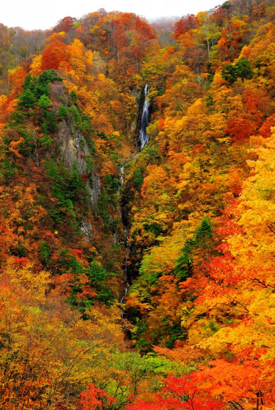 信州 高山村 紅葉 撮影ガイド 錦に染まる 日本で最も美しい村 の秋 ピクスポット 絶景 風景写真 撮影スポット 撮影ガイド カメラの使い方