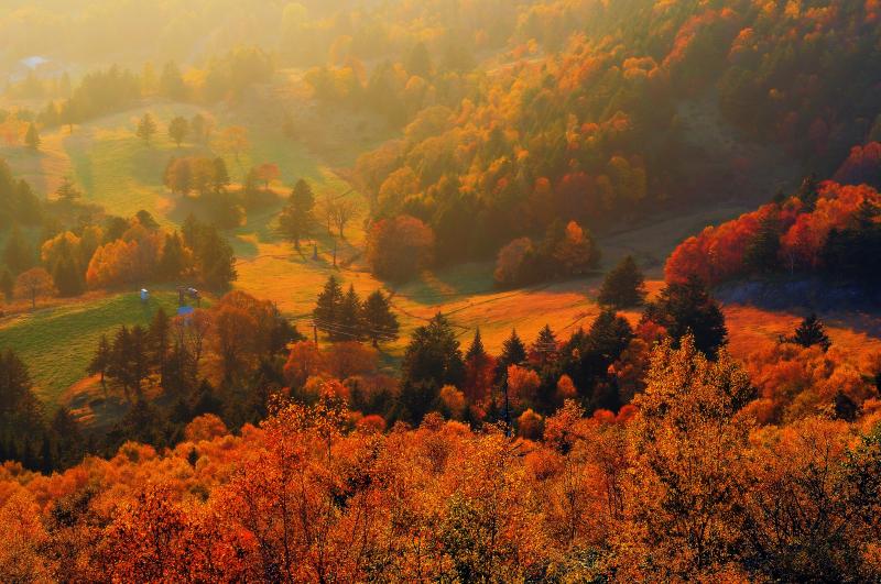 信州 高山村 紅葉 撮影ガイド 錦に染まる 日本で最も美しい村 の秋 ピクスポット 絶景 風景写真 撮影スポット 撮影ガイド カメラの使い方