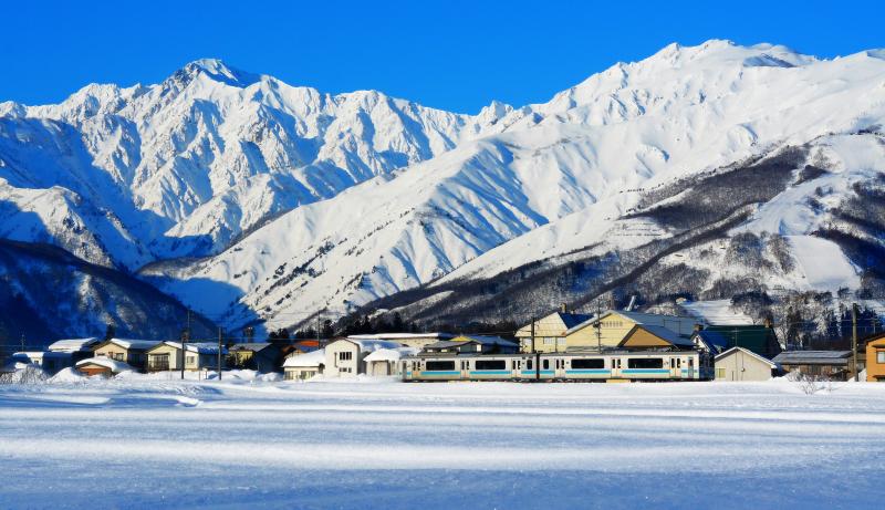 [ 雪原を駆け抜ける大糸線 ]  真っ白で迫力のある北アルプス、左が五竜岳、右が唐松岳。白馬駅の北側「大出の吊橋」周辺で撮影。