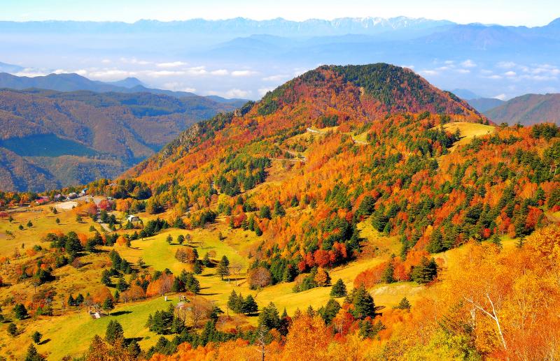 ミニチュア | 山田牧場を俯瞰すると紅葉した樹木が模型のように見えます。眼下に広がる善光寺平、遠くには北アルプス。