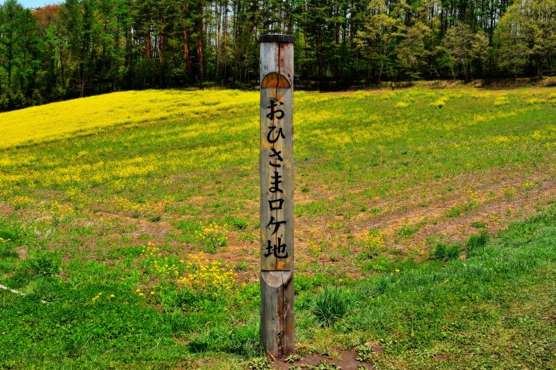 [ おひさま ]  NHK連続テレビ小説「おひさま」のロケ地になりました。