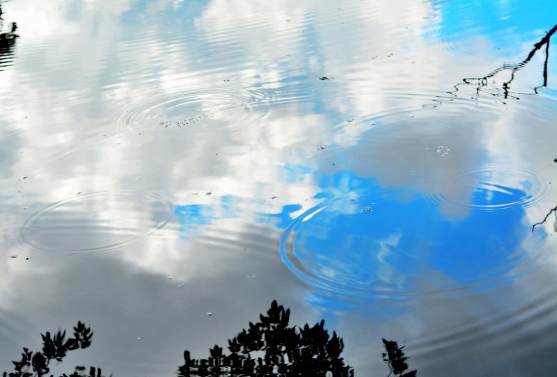 [ 波紋模様 ]  空を映す水鏡にできた波紋。雨あがり森から水滴が落ちてきました。