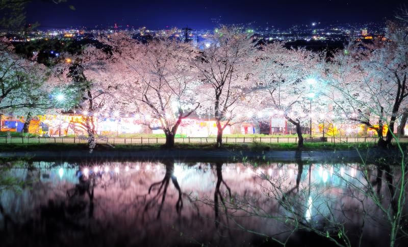 [ 夜桜並木 ]  光り輝く桜並木が竜ヶ池に映ります。奥に見えるのは長野市を中心とした善光寺平の夜景。