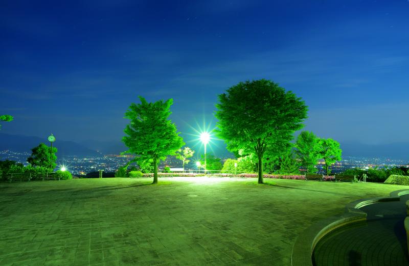 [ ２本のツリーと甲府盆地の夜景 ]  公園の広場には２本の印象的な木がありました。奥には甲府盆地の夜景が広がっています。