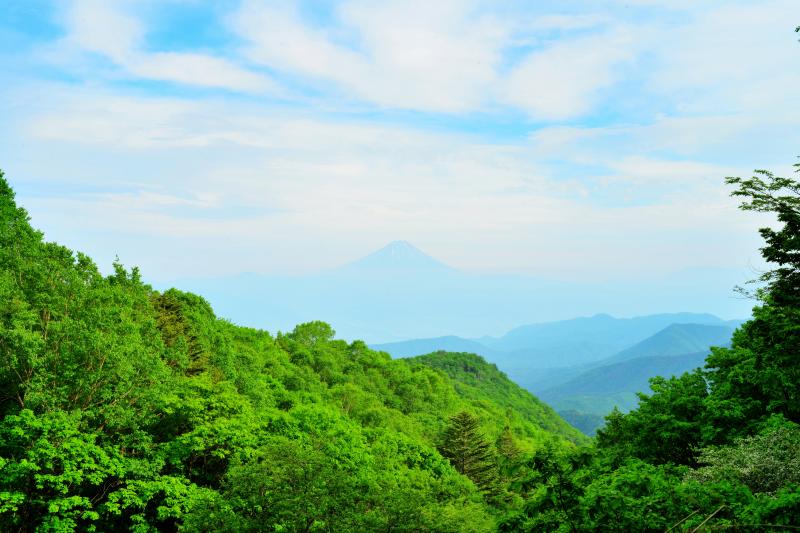 [ 乙女高原からの富士山 ]  