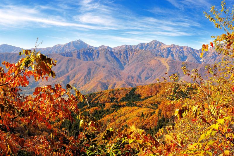 [ 秋の白沢峠 ]  紅葉と北アルプス後立山連峰