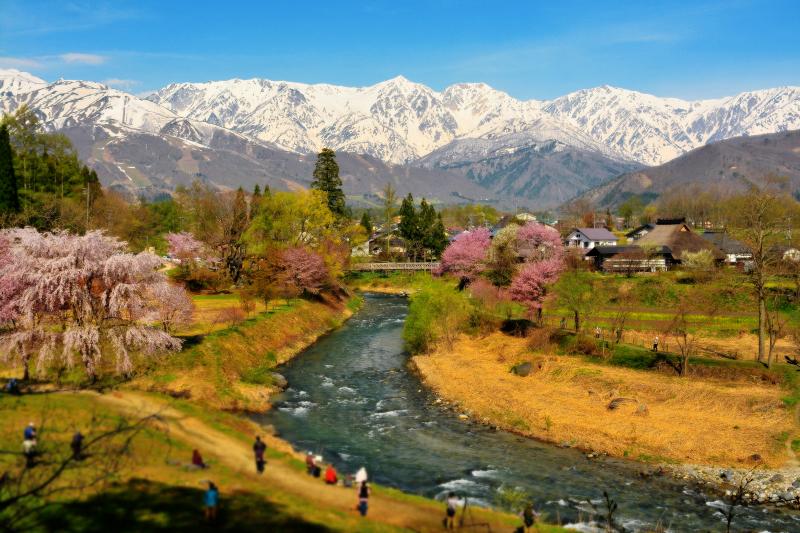 白馬村の春 | 雄大な北アルプスと姫川の流れ。雪が消え、桜が咲く「信州の春景色」