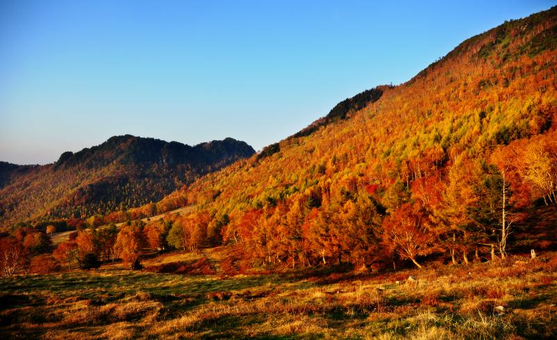 信州 高山村 紅葉 撮影ガイド 錦に染まる 日本で最も美しい村 の秋 ピクスポット 絶景 風景写真 撮影スポット 撮影ガイド カメラの使い方