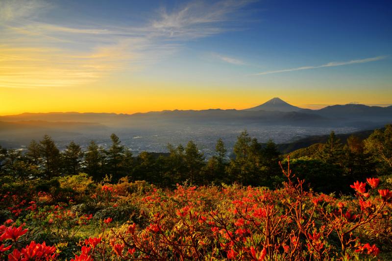 [ 朝焼け空に浮かぶ富士山 ]  甲府盆地を見守るように聳える富士山。広大な風景にも負けない存在感。