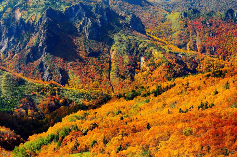 [ 紅葉の信州 高山村 ]  巨大な岩山、複雑な地形、植生の境界線、ダケカンバの原生林。日本離れした光景が広がります。