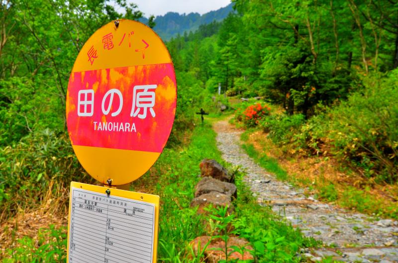 [ 田ノ原湿原 ]  