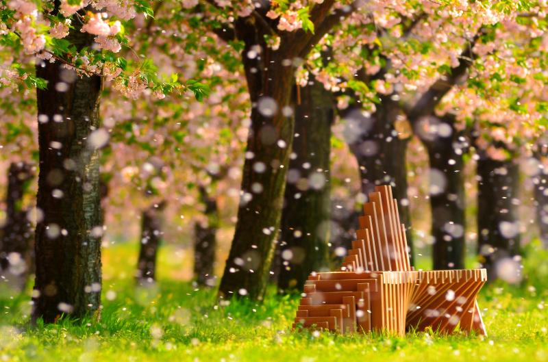 [ 桜吹雪 ]  舞い散る花びらが雪のようでした。望遠レンズ使用。絞りは解放にして花びらを丸ボケに。ピントはベンチ合わせて、ローアングルで奥行き感を強調。
