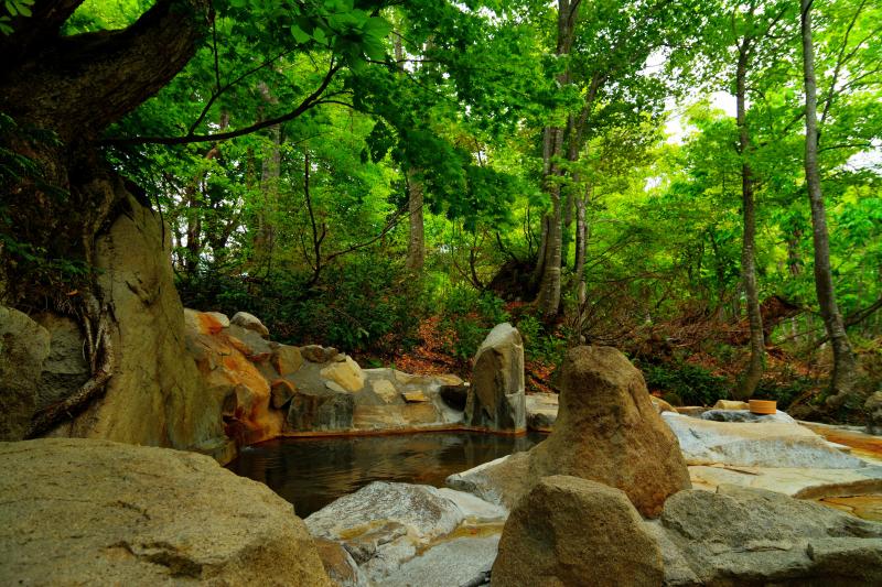 [ 雨飾高原「露天風呂」 ]  自然に包まれた雰囲気のある湯船