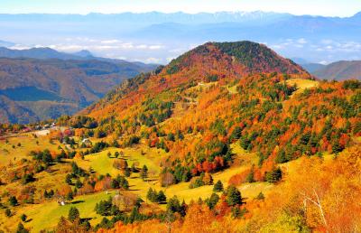 ミニチュア| 山田牧場を俯瞰すると紅葉した樹木が模型のように見えます。眼下に広がる善光寺平、遠くには北アルプス。