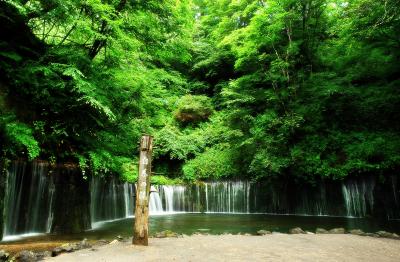 白糸の滝| さわやかで涼しく 暑さを忘れることができます。