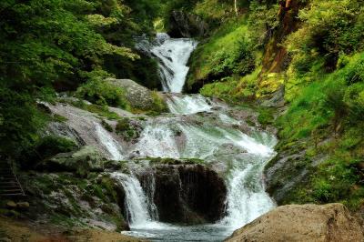 苔むした岩肌と数段の流れ| 正面からのおしどり隠しの滝。深い緑の中から溢れ出す白い水流の帯。岩場に群生している苔は、酸性の水で育つチャツボミゴケ。