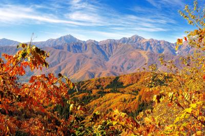 秋の白沢峠| 紅葉と北アルプス後立山連峰