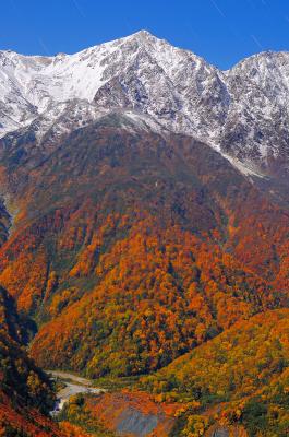 冠雪した険しい峰 深い谷をくだる紅葉