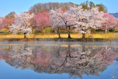 長峰スポーツ公園| 