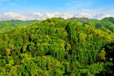 自然豊かな信州小川村。鮮やかな緑と雪山を撮影することができます。