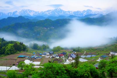 雨上がり谷から霧が沸き上がります。田植えの準備が進む成就。