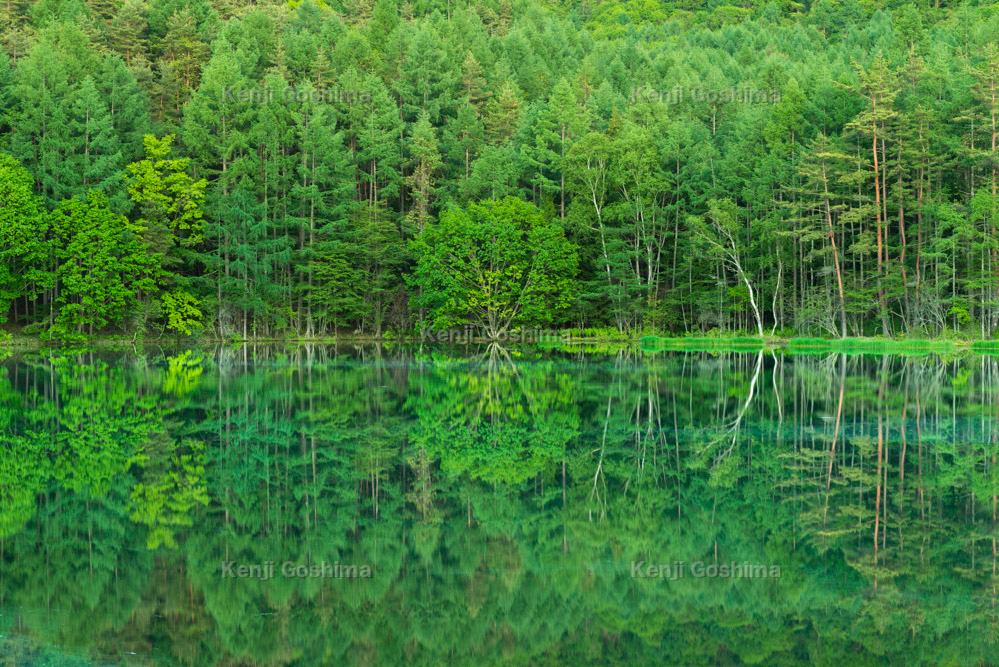 御射鹿池 撮影ガイド 東山魁夷 緑響く のモチーフとなったシンメトリーが美しい神秘的な池 ピクスポット 絶景 風景写真 撮影スポット 撮影ガイド カメラの使い方