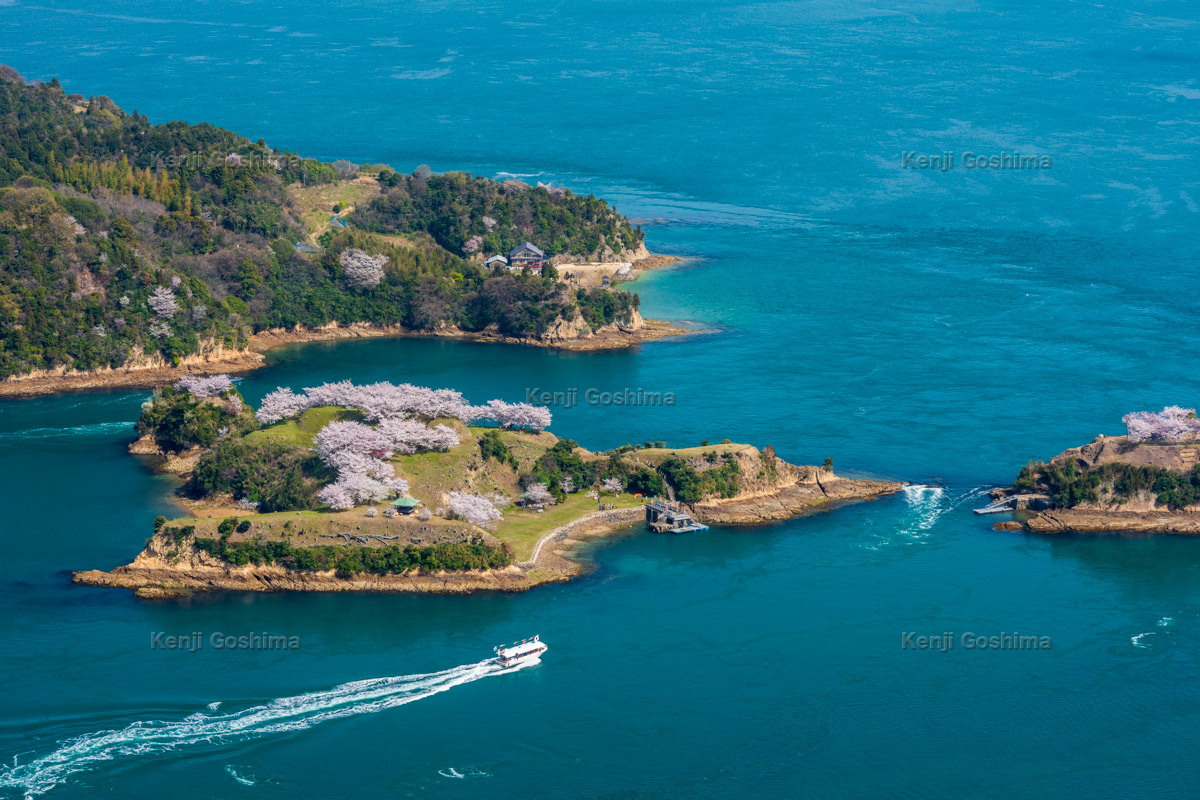 能島城跡 ピクスポット (絶景・風景写真・撮影スポット・撮影ガイド・カメラの使い方)