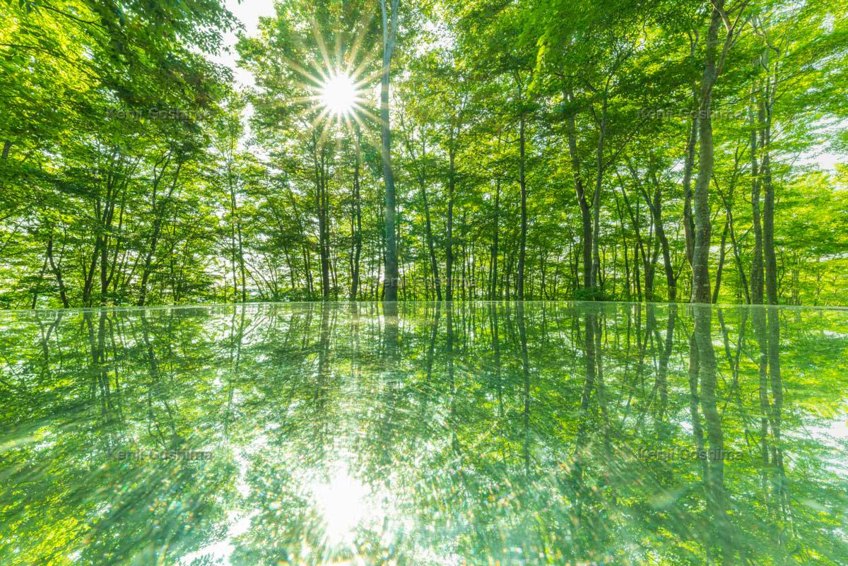 空気神社 ブナのシンメトリーが美しいインスタ映えスポット ピクスポット 絶景 風景写真 撮影スポット 撮影ガイド カメラの使い方