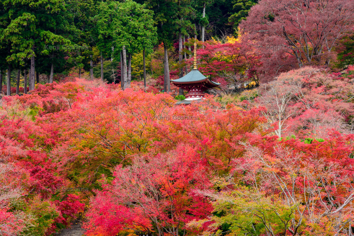 大阪府の撮影スポット 絶景ポイント ピクスポット 絶景 風景写真 撮影スポット 撮影ガイド カメラの使い方