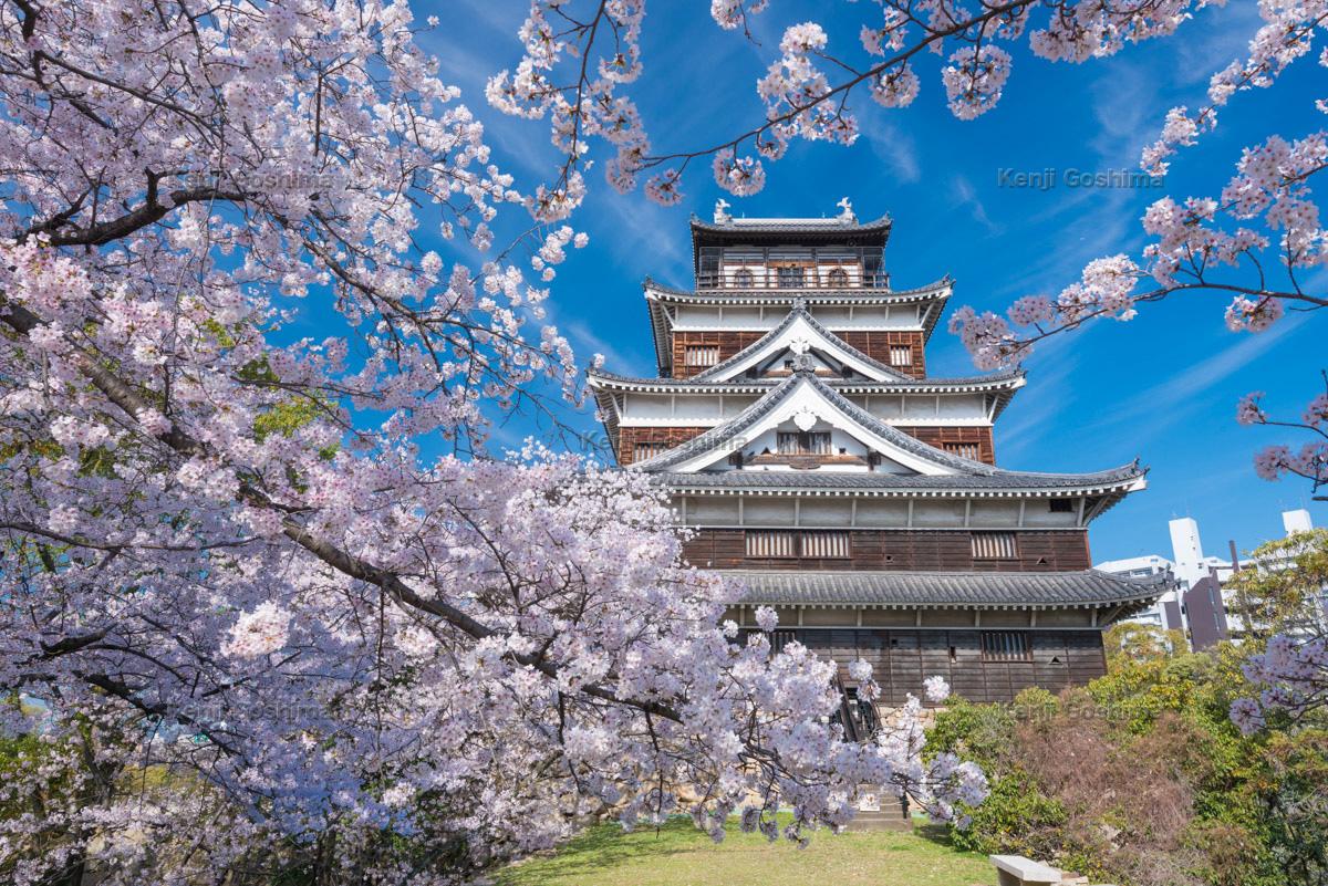 広島城 日本三大平城のひとつ 春は桜の名所 ピクスポット 絶景 風景写真 撮影スポット 撮影ガイド カメラの使い方